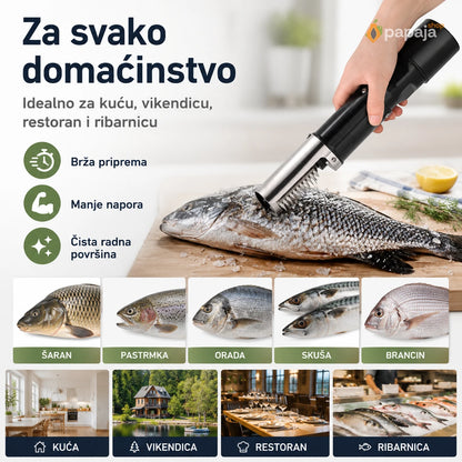 Za svako domaćinstvo – šaran, pastrmka, orada, skuša, brancin