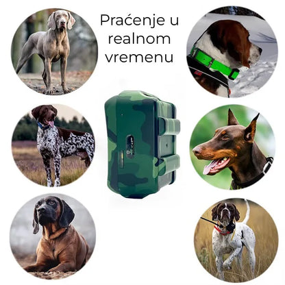 Lokator za lovačke pse - Tracker za pse IK122T 4G GPS