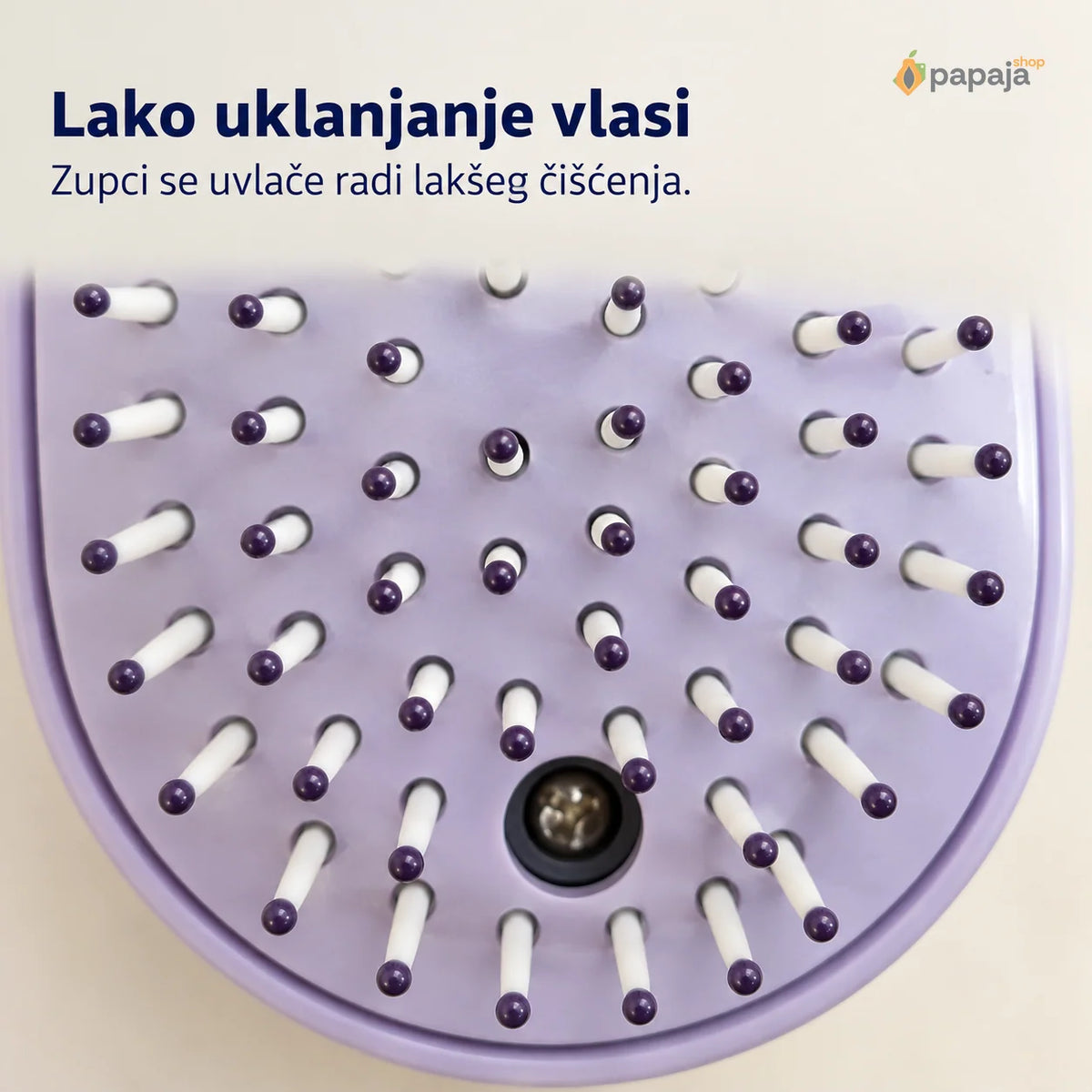 Krupni prikaz belih uvlačivih zubaca sa tamnoljubičastim zaobljenim vrhovima