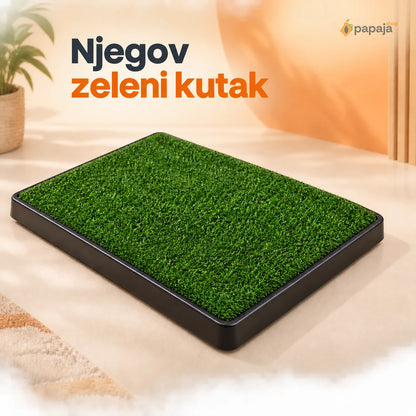 Njegov zeleni kutak — kućni toalet sa veštačkom travom | Papaja
