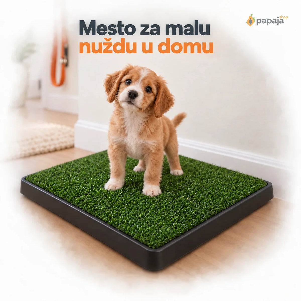 Mesto za malu nuždu u domu — kućni toalet sa veštačkom travom | Papaja
