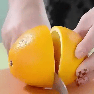 Prenosivi električni sokovnik