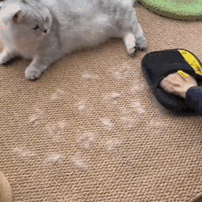 rukavica-uklanjanje-dlaka.gif