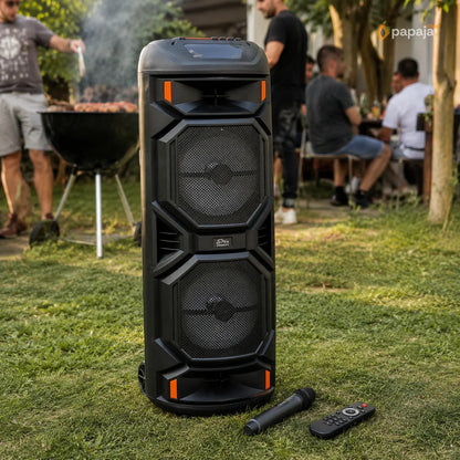 Thunder Bluetooth Zvučnik 2x8 karaoke