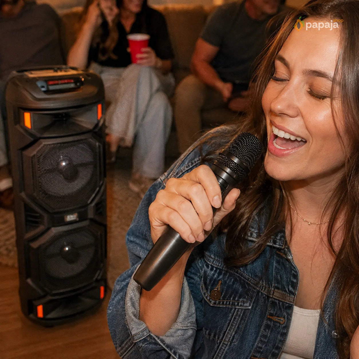 Thunder Bluetooth Zvučnik 2x8 karaoke