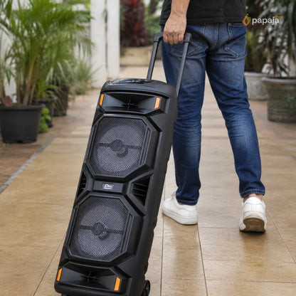 Thunder Bluetooth Zvučnik 2x8 karaoke