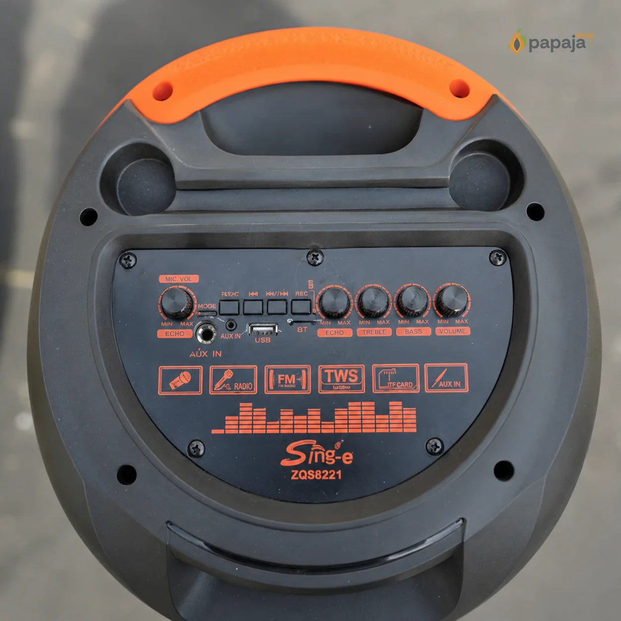 Thunder Bluetooth Zvučnik 2x8 karaoke